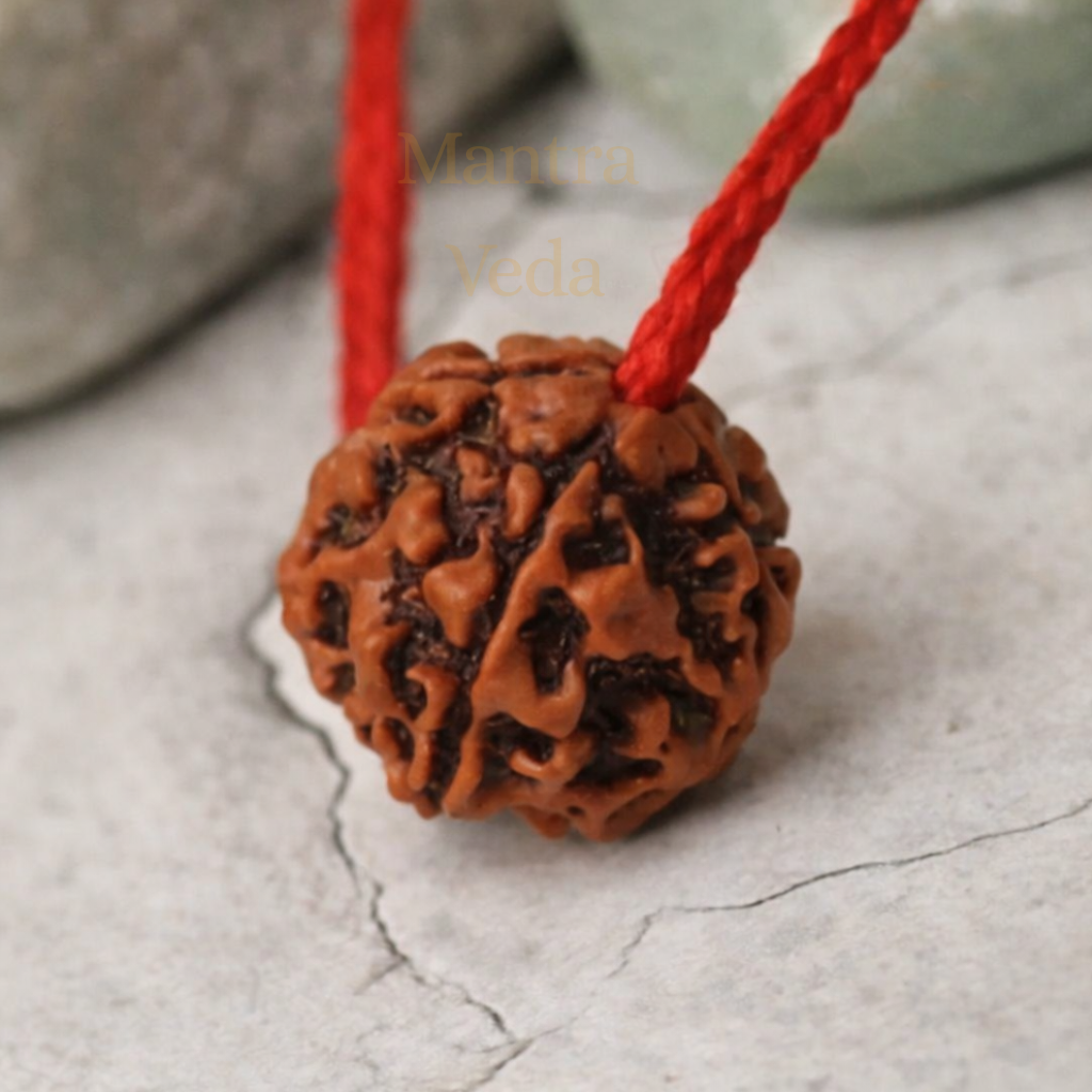 Free Gift - 5 Mukhi Nepali Rudraksha