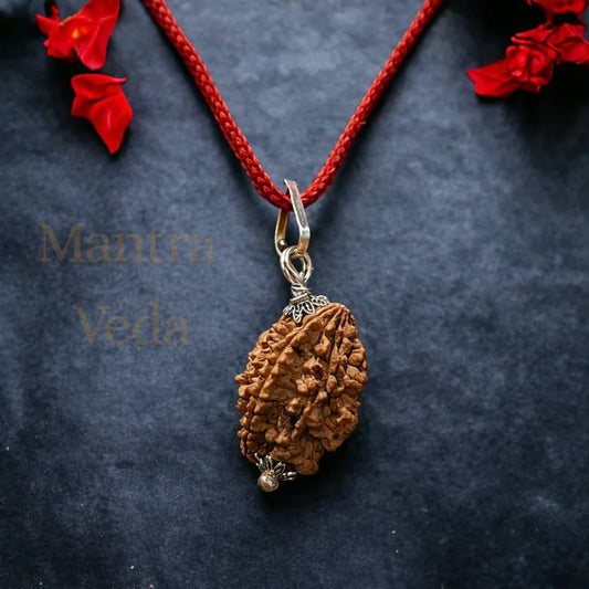 Buy 4 Mukhi Nepali Rudraksha - Chaar Mukhi online in India