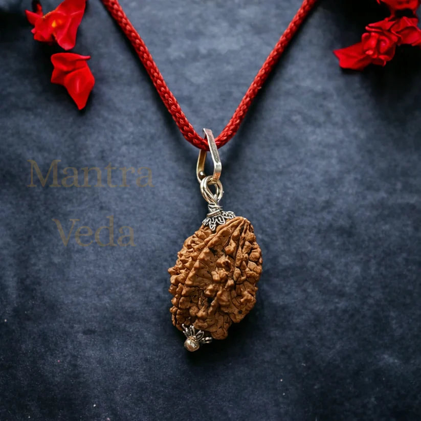 Buy 10 Mukhi Nepali Rudraksha - Das Mukhi online in India
