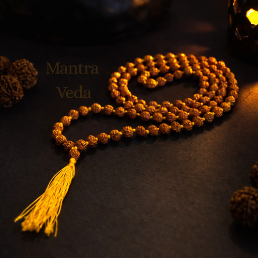 Brown Nanhe Rudraksha 108+1 Beads Mala for Kids