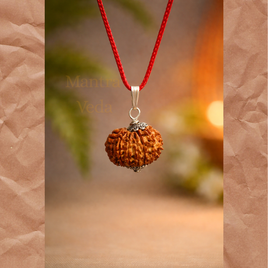12 Mukhi Nepali Rudraksha - Baarah Mukhi