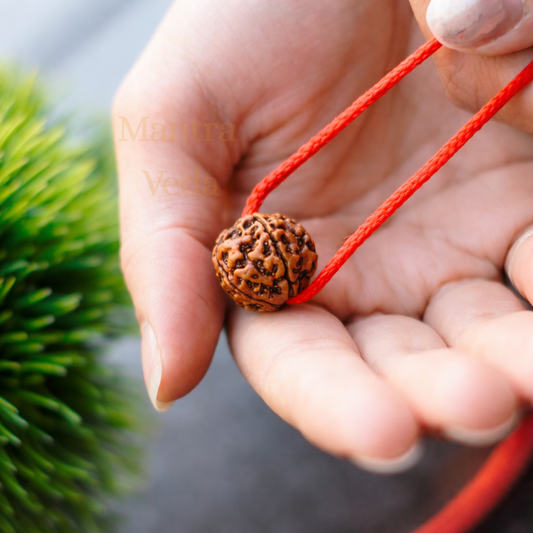 Har Ghar Mein Rudraksha - Claim Your Free 5 Mukhi Rudraksha