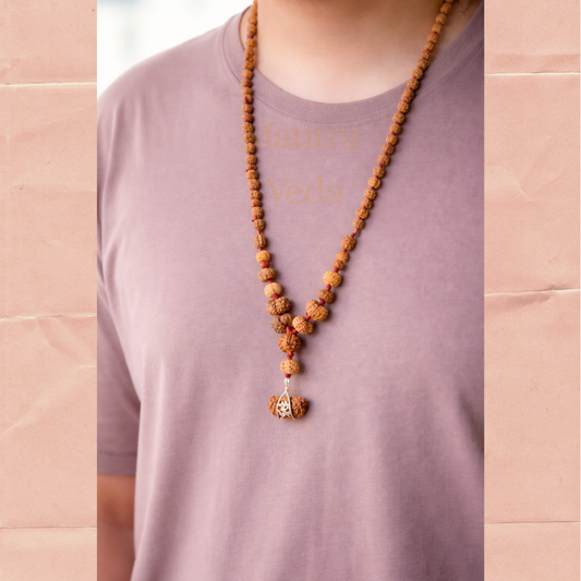 14 Mukhi Siddha Rudraksha Mala