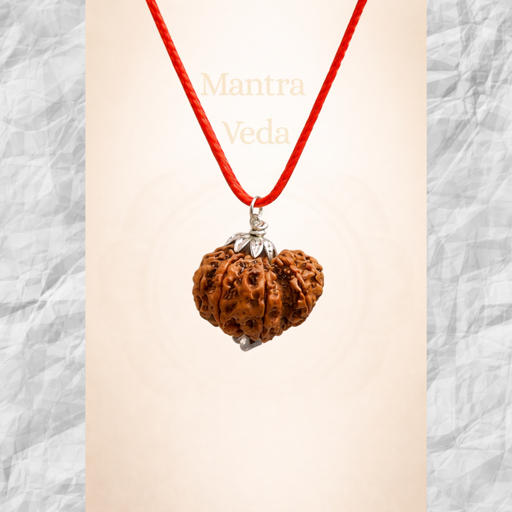Garbh Gauri Rudraksha