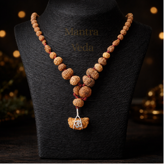 14 Mukhi Siddha Rudraksha Mala