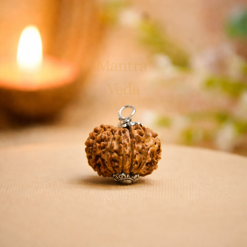 buy 12 Mukhi Nepali Rudraksha - Baarah Mukhi online in India