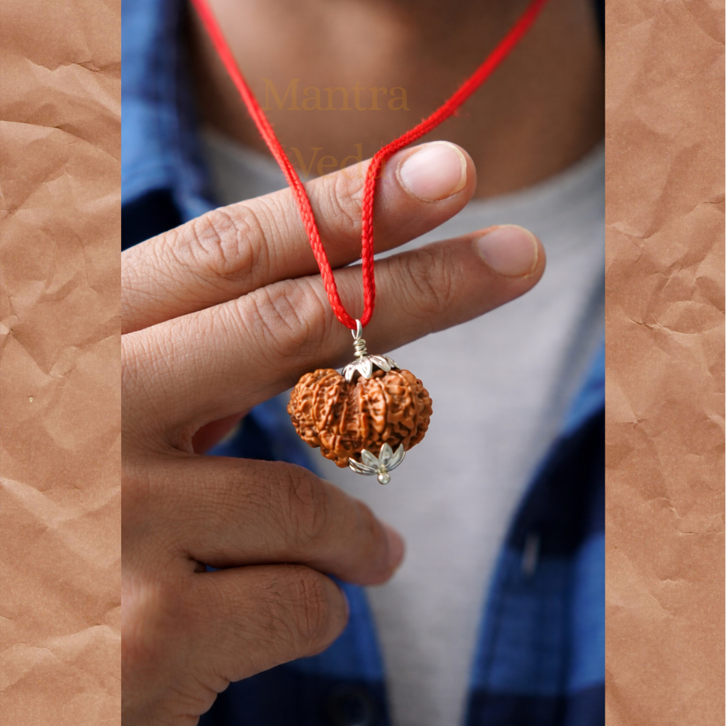 Garbh Gauri Rudraksha