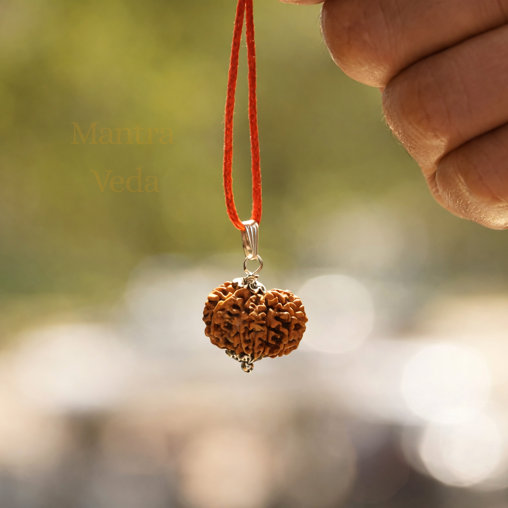 buy 12 Mukhi Nepali Rudraksha - Baarah Mukhi online in India