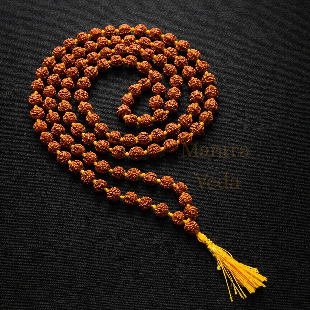 Brown Rudraksha Mala - 108+1 Beads