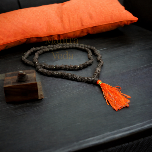 Black Rudraksha Mala - 108+1 Beads
